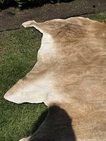 Close-up corner of the cowhide showcasing the natural edge and gradation in color.