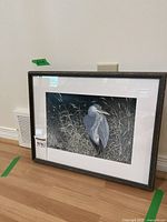 Framed heron print leaning against wall on floor showing overall presentation and label