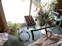 Photo showing black metal outdoor side table with glass top, multiple live potted plants on and around it, two decorative metal plant stands nearby, and a seedling tray on the table.