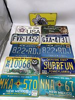 Full view of all 11 license plates laid out, showing variety of states and novelty items.