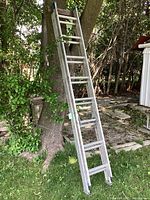 Full view of the aluminum extension ladder leaning against a tree outdoors on grass. Shows length and general condition.