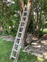 Full view of the aluminum extension ladder leaning against a tree outside, showing rope and condition.