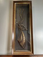 Frontal view of the framed metal antelope bust within shadow box glass. Shows full height and width proportions along with detailed metalwork.