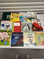 Photo of all 13 children's picture books arranged on a flat surface showing titles and cover art