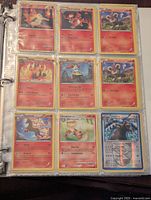 Page showing 9 Pokémon cards including Charmeleon, Litleo, Rapidash, Arcanine, and Ursaring, all in plastic protective sleeves in a binder.