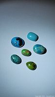 Six Tibetan turquoise cabochon stones in various shapes and blue-green colors with matrix veining on white background