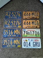 Overview of all 8 license plates showing variety by state and condition