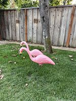 Two large pink flamingo yard ornaments standing on green grass near a wooden fence and tree, showing front and side views.