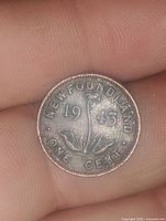 Obverse side of the 1943 Newfoundland one cent coin showing date, leaves, and inscriptions.