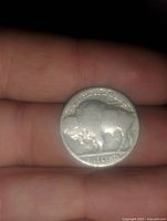 Photo of the reverse side of the Buffalo Nickel coin showing the American bison and inscriptions including 'FIVE CENTS' and 'UNITED STATES OF AMERICA'.