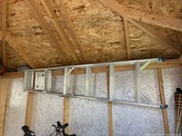 Aluminum extension ladder leaning against an unfinished wood wall inside a shed, showing its length and features.