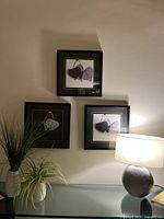 Wall-mounted display of three black acrylic framed botanical artworks above table with faux plants and table lamp