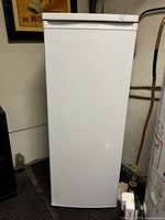 Front view of closed white upright freezer in basement utility area