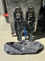 Full set including two snowshoes, two blue poles, and black carry bag