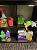 Wide view of all items on shelf including Wilson AntOut spray, Thermacell mosquito device, Swiffer Wet Jet cleaning solutions, cloths, and refill packs.