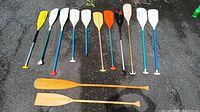 All thirteen paddles laid out showing blade colors and materials