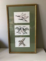 full view of framed triptych print showing frame, mat and three bird images