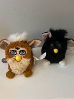 Front view of both Furbies showing colors, eyes, beaks and overall condition