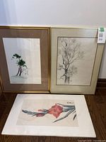 Photo showing all three paintings grouped: two framed tree watercolours and one unframed Gladiolus watercolour on rice paper