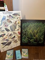Photo showing the large Wild Bird print on board with various bird species illustrations and feeding preferences, alongside the square green fern print on board and three bird guide books below.