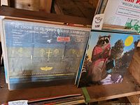 Two vinyl records in foreground: The Choir of St. John's College, Cambridge, and an album with a raccoon illustration. Several records visible in the background.