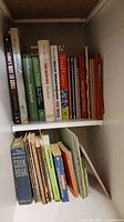 Shelf with assorted cookbooks and spiral-bound recipe books of various sizes and colors.