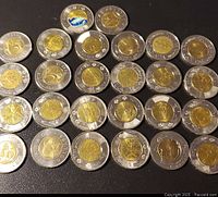All 26 Canadian Toonie coins arranged in rows showing front designs; mostly in bimetallic composition with some colored accents.