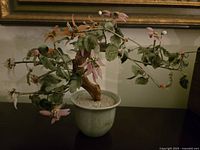 Photo of an artificial jade tree with pink and orange flowers in a pale green ceramic pot containing white pebbles, showing the entire tree and base.