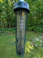 Front view of the Lee Valley Squirrel Buster bird feeder hanging outdoors on grass with wooded background, showing protective metal cage and seed container inside.