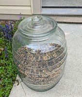 Front view of large clear Mexican garrafon glass jar filled with bird seed showing ribbed design and lid.