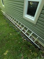 Full view of the ladder leaning against exterior siding, shows length and condition