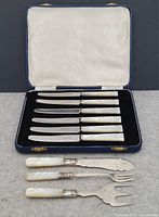 Closed view of the blue velvet-lined case with six knives arranged and three serving utensils outside.