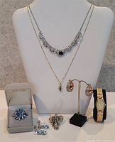 Group shot of all necklaces, rings, earrings, and watch.