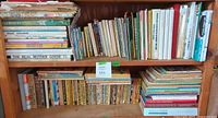Shelf with various vintage children's and young adult books, showing worn edges and a variety of titles and cover designs.