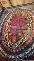 Overall view of five beaded Indigenous American style necklaces layered in a display case.
