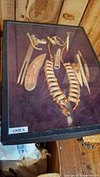 Full view of the Indigenous American bone necklace and accessories in the glass-topped display case on purple felt background.