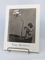 Front cover of the Tina Modotti photography program booklet showing a black and white photo of a flower in a pot.