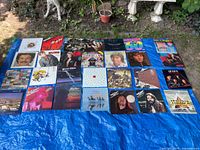 Blue-tarp layout showing full collection of 27 vinyl album covers in grid arrangement outdoors