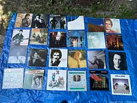Photo of 24 vinyl records spread out on a blue tarp, showing album cover art for identification