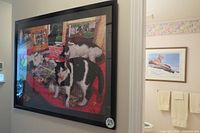 Framed completed cat puzzle mounted on hallway wall showing the assembled jigsaw with multiple cats depicted.