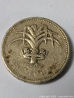 Reverse side of the coin showing detailed plant emblem design