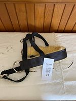 Full view of harness showing nylon straps, padded section, metal rings and buckle