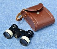 Full view of Tasco opera glasses with mother of pearl inlays positioned next to brown leather carrying case on blue textured surface.