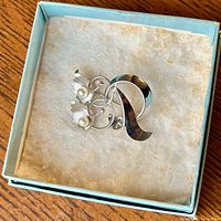 Brooch resting in presentation box on fabric pad