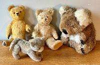 Full view of all four plush animals including two teddy bears, one mohair cat, and one large koala