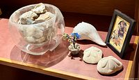 Overview photo showing the two sand dollar sculptures, conch shell, artificial flower in pot, framed picture, and broken glass bowl (excluded from lot).