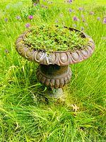 Front angle photo of vintage cast iron urn planter with green plants and purple flowers inside, set in grass.