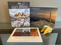 Front view of three photography and travel books posed upright and flat on a surface with a pair of yellow silk embroidered decorative shoe covers placed in front.