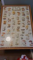 Photo of framed mushroom poster with wood frame, 40x28 inches, showing multiple fungi illustrations in a grid with slight glass reflection