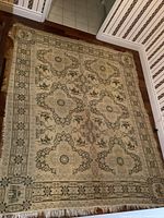 Full view of thin area rug showing overall pattern and fringe condition